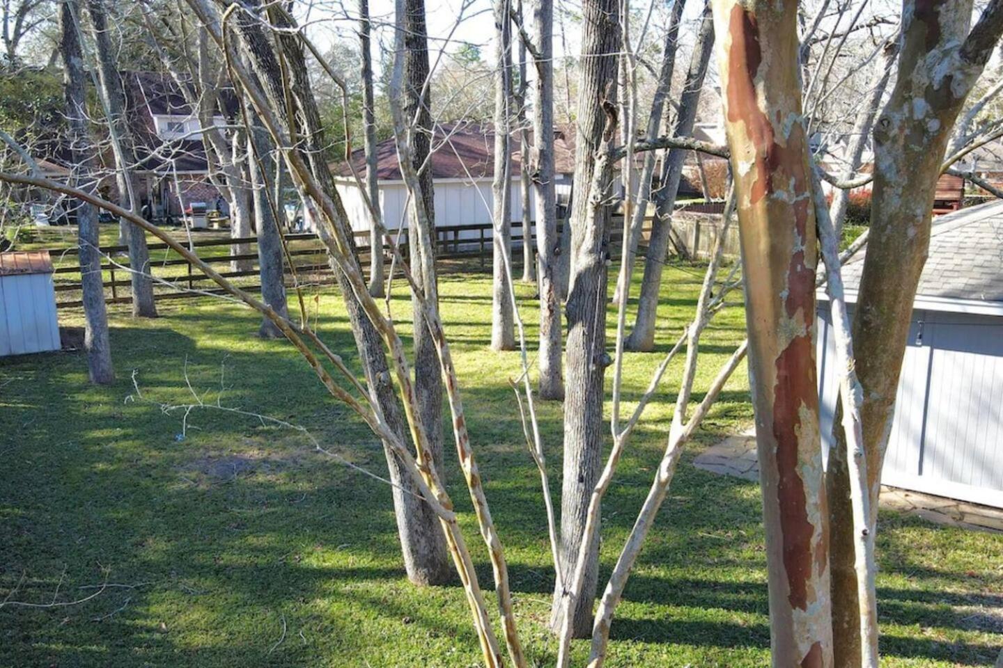 Sunmeadow Manor Retreat Villa Friendswood Екстериор снимка